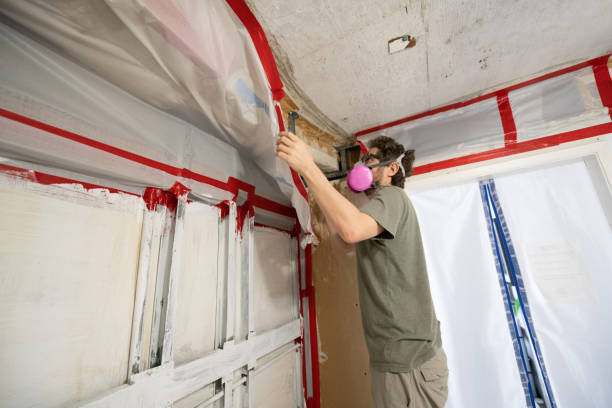 Mold Remediation for Vacation Homes in Cape Coral, FL