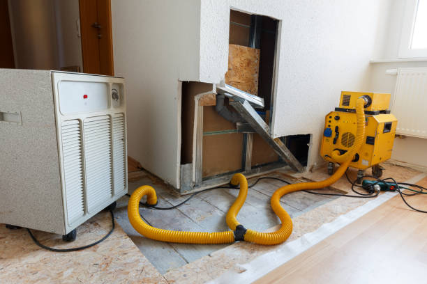 Mold Remediation for Rental Properties in Cape Coral, FL